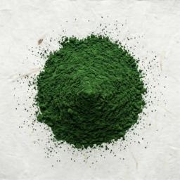 伊勢茶 深蒸し茶パウダー 100g（無糖）（4）
